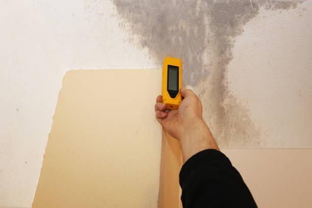 Best Air Quality Testing for Mold Spores  in Waikoloa Village, HI