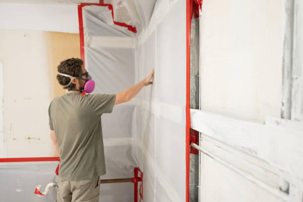 Best Mold Removal for HVAC Installations  in Waikoloa Village, HI
