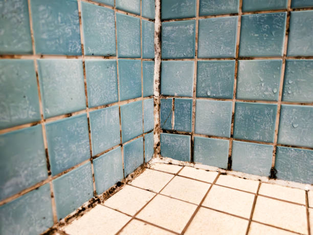 Asbestos and Lead Testing During Mold Inspection in Waikoloa Village, HI