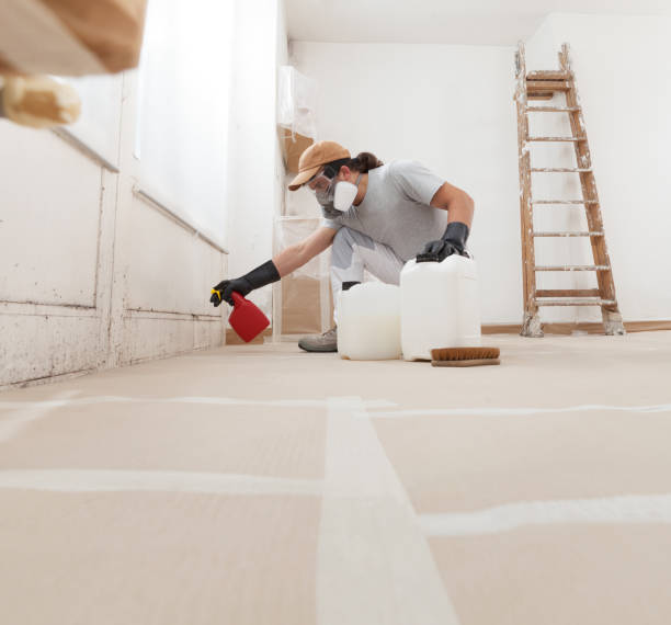 Best HVAC Mold Inspection and Cleaning  in Waikoloa Village, HI